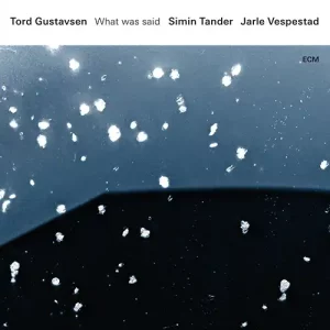 Tord Gustavsen: What Was Said