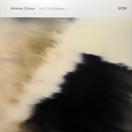 Avishai Cohen – Into The Silence