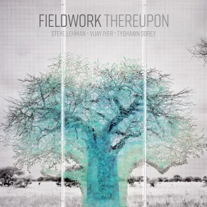 Fieldwork LP